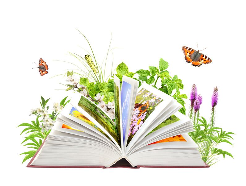Educar para la vida es posible