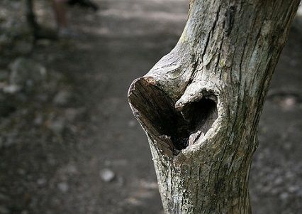 Life coaching: Cómo mejorar tu vida