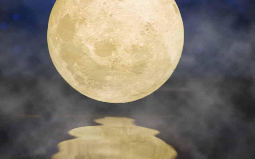El reflejo de Luna